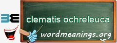 WordMeaning blackboard for clematis ochreleuca